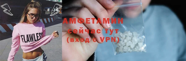хмурый Новозыбков