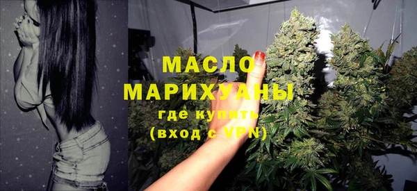 стаф Корсаков