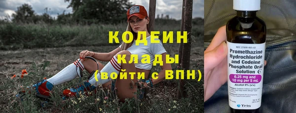 хмурый Новозыбков