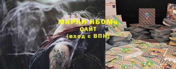 хмурый Новозыбков