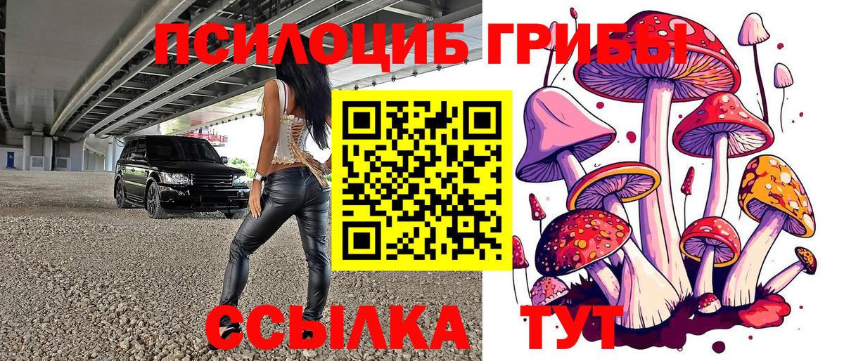 Псилоцибиновые грибы Magic Shrooms Крымск