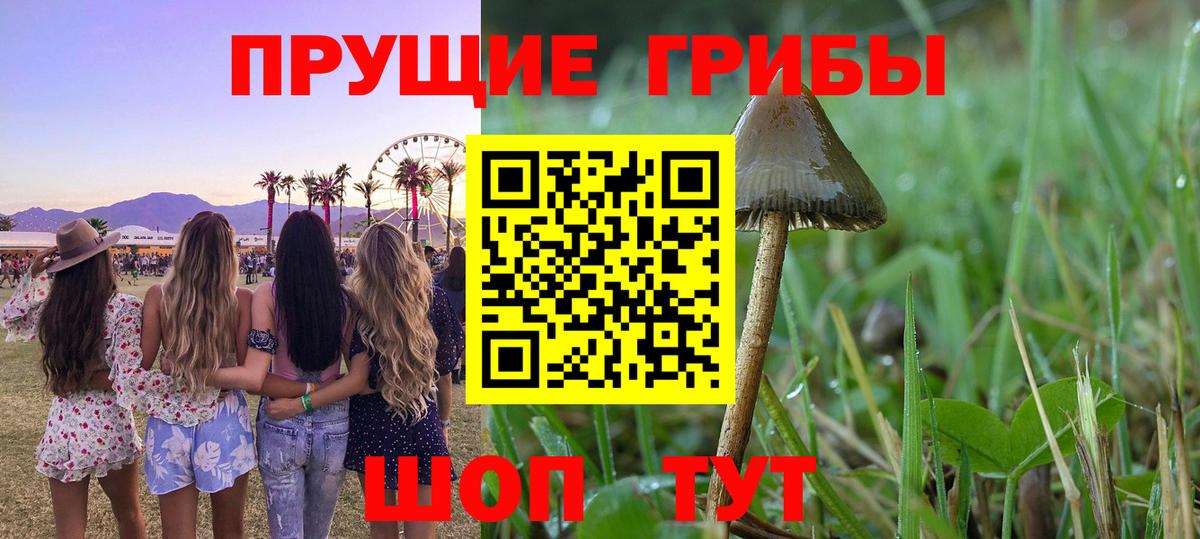  Кокаин Крымск