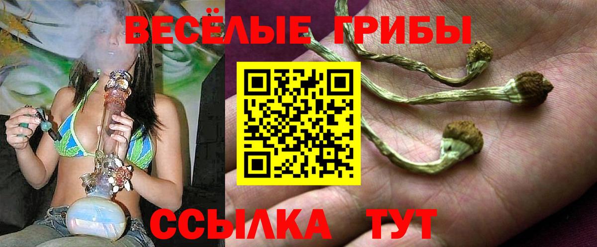 Галлюциногенные грибы мухоморы  Вход с VPN  Крымск 